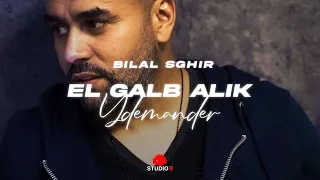 Bilal Sghir - El Galb Aalik Ydemander avec Pitchou | القلب عليك يدموندي (Official Music Video)