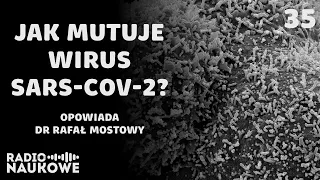 Czy to wciąż jeden wirus? Mutacje, warianty i przyszłość SARS-CoV-2 | dr Rafał Mostowy