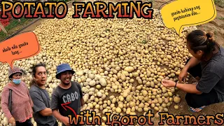 EP323: BENGUET POTATO FARMING SA GILID BANGIN | Igorot Farmers