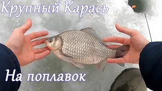 КРУПНЫЙ карась зимой, на поплавок. Рыбалка, ловля со льда