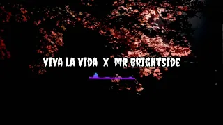 Viva La Vida x Mr Brightside (Remix Mashup) Coldplay x Thekillersmusic