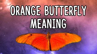 Orange Butterfly Meaning: Is It Lucky Or Unlucky For You?