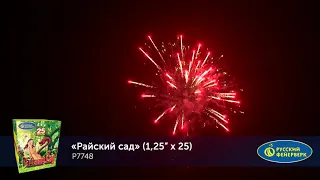 Салют Р7748 Райский сад (1,25" х 25 залпов)