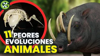 ANIMALES Tratados INJUSTAMENTE Por La NATURALEZA 🦁