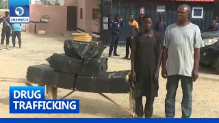 NSCDC Arrest Two Suspects In Possession Of 173 Parcels Of Cannabis Sativa Worth Millions Of Naira