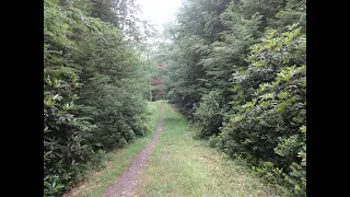 Michaux State Forest:  The Best Five Mile Loop in PA (Day Hike)