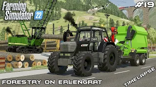 Selling LOGS and making WOODCHIPS | Forestry on ERLENGRAT | Farming Simulator 22 | Episode 19