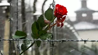 73 года спустя: День памяти жертв Холокоста