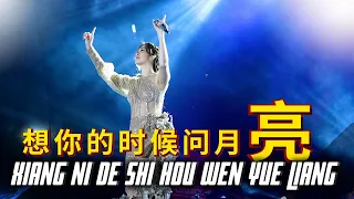 Xiang Ni De Shi Hou Wen Yue Liang - 想你的时候问月亮 || Desy Huang 黄家美