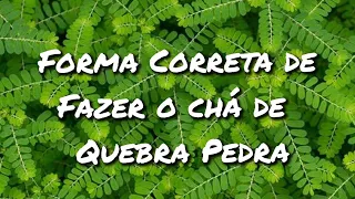 Modo Correto de Fazer o Chá de Quebra Pedra e Chaleira Elétrica depois de 6 meses