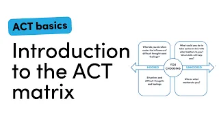 Contextual Consulting - The ACT matrix