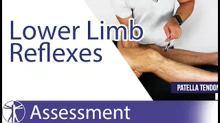 Lower Limb Deep Tendon Reflexes | Peripheral Neurological Examination