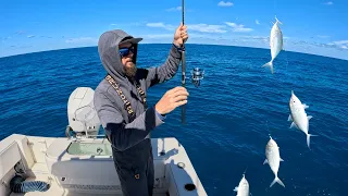 Live Bait Mackerel/Bluefin Tuna Fishing | Moral Dilemma | CCC