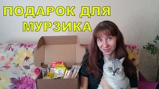 ОБЗОР НА HAPPYPETBOX БОКСЫ С ЛАКОМСТВАМИ И ИГРУШКАМИ ДЛЯ КОШЕК