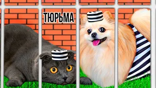 ПОБЕГ ИЗ ТЮРЬМЫ на улице ЧЕЛЛЕНДЖ 4 ! КТО ПОСЛЕДНИЙ покинет ТЮРЬМУ Кошка Баттерс  или Шпиц Элис?