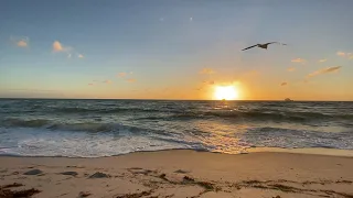 Beach Website Background Video