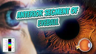 Anterior segment of eyeball - Your EYEBALLS - EYNTK 👁️💉😳💊🔊💯✅