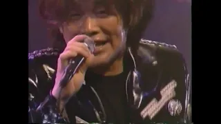HIRONOBU KAGEYAMA POWER LIVE'95 CYVOX