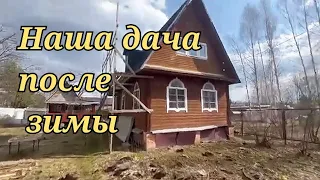 Наша дача после зимы