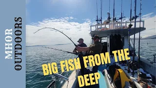 Deep Sea Fishing Scotland - Big Fish