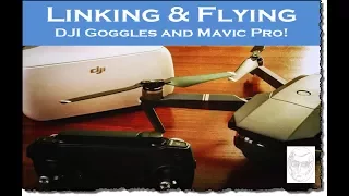 DJI Goggles Linking to the Mavic and 1st Flight