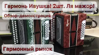 Гармонь Ивушка, 2 шт  Обзор Демонстрация  Купить гармонь  Продажа гармони