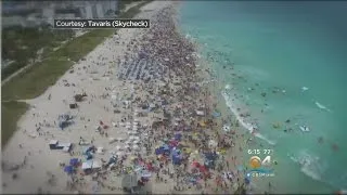 Miami Beach Mayor Wants To Keep Floatopia Off The City's Shores