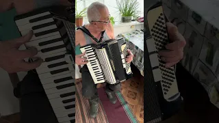 Weltmeister accordion, 96 Bass, 3 voice, 5+3 register, Germany Accordion, Musical instrument,ON SALE
