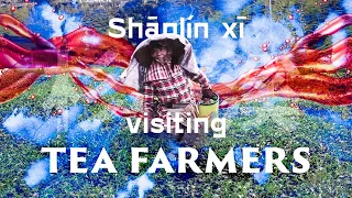 Visiting tea farmers. Shanlinxi. Taiwan.