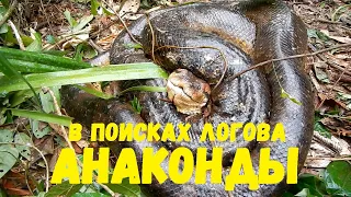 Part 3   In search of the anaconda's lair. Peru. В поисках логова анаконды. Перуанская Амазония.