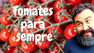 Como Plantar tomate invertido na pet! Passo a passo fácil!
