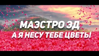 А я несу тебе цветы  Маэстро Эд  (студия Маэстро 89051385784)