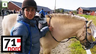 71° nord kjendis | Vita Mashadi er livredd hester | discovery+ Norge