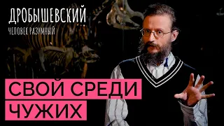 Обнимашки vs вражда: к какому поведению склонен человек? // Дробышевский. Человек разумный