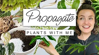 Propagate Plants With Me and Chat 💚 Plants I'm Propagating UPDATES