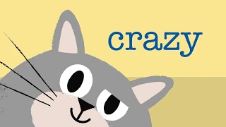 Why Do Cats Have A 'Crazy Time' Of Day? | Cat Advice | Petplan