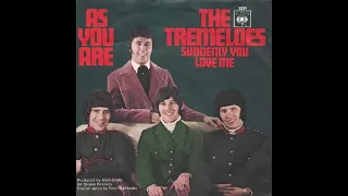 The Tremeloes - Suddenly You Love Me