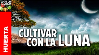 Como cultivar con las fases de la luna - bien explicado y facil de recordar  - Participen del sorteo