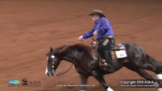 2020 AQHA Senior Reining