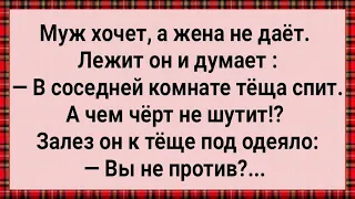 Как Наглый Зять к Теще Под Одеяло Залез! Сборник Свежих Анекдотов! Юмор!