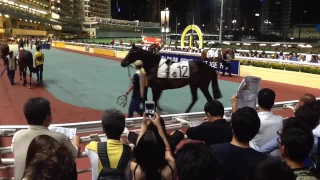 HAPPY WEDNESDAY HORSE RACING, HAPPY VALLEY, HONG KONG