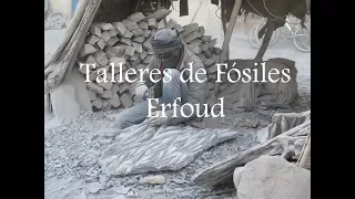 Marruecos: Los talleres de fósiles en Erfoud