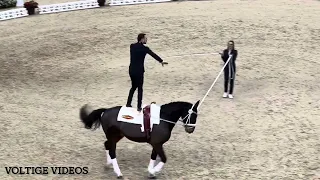 FEI Vaulting World Cup Final Basel 2024 - Viktor Brüsewitz GER - Tech Test