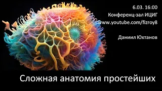 Даниил Юхтанов «Сложная анатомия простейших»