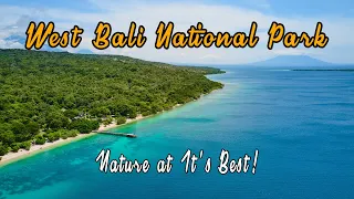 West Bali National Park is Too Good To Be True! Sea, Sun, Reef, Trees, Wild Animals All in One Place