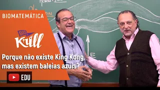 Por que não existe King Kong, mas existem baleias azuis?  | BIOMATEMÁTICA