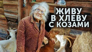 ШОК! 85-ЛЕТНЯЯ БАБУШКА ЖИВЕТ В ХЛЕВУ С КОЗАМИ! БЫЛА УЧЁНОЙ-СТАЛА БОМЖОМ!