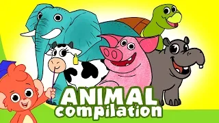 Learn Animals for Kids | Animal Cartoon Compilation for Children | Zoo Cartoon Cartoons