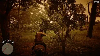 Red Dead Redemption 2 /PS 5/: Испытание - Всадника 7. Убейте 7 врагов, не слезая с лошади🎮🔌🐴