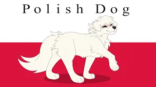 [Country Dogs] Polish Dog || Meme